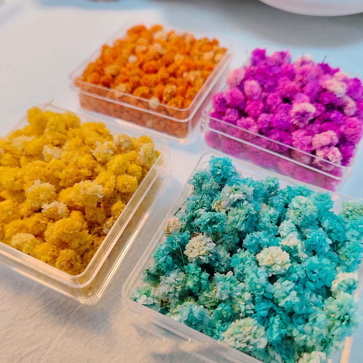 Soap Making Book - 1 Caja de Cabezas de Flores