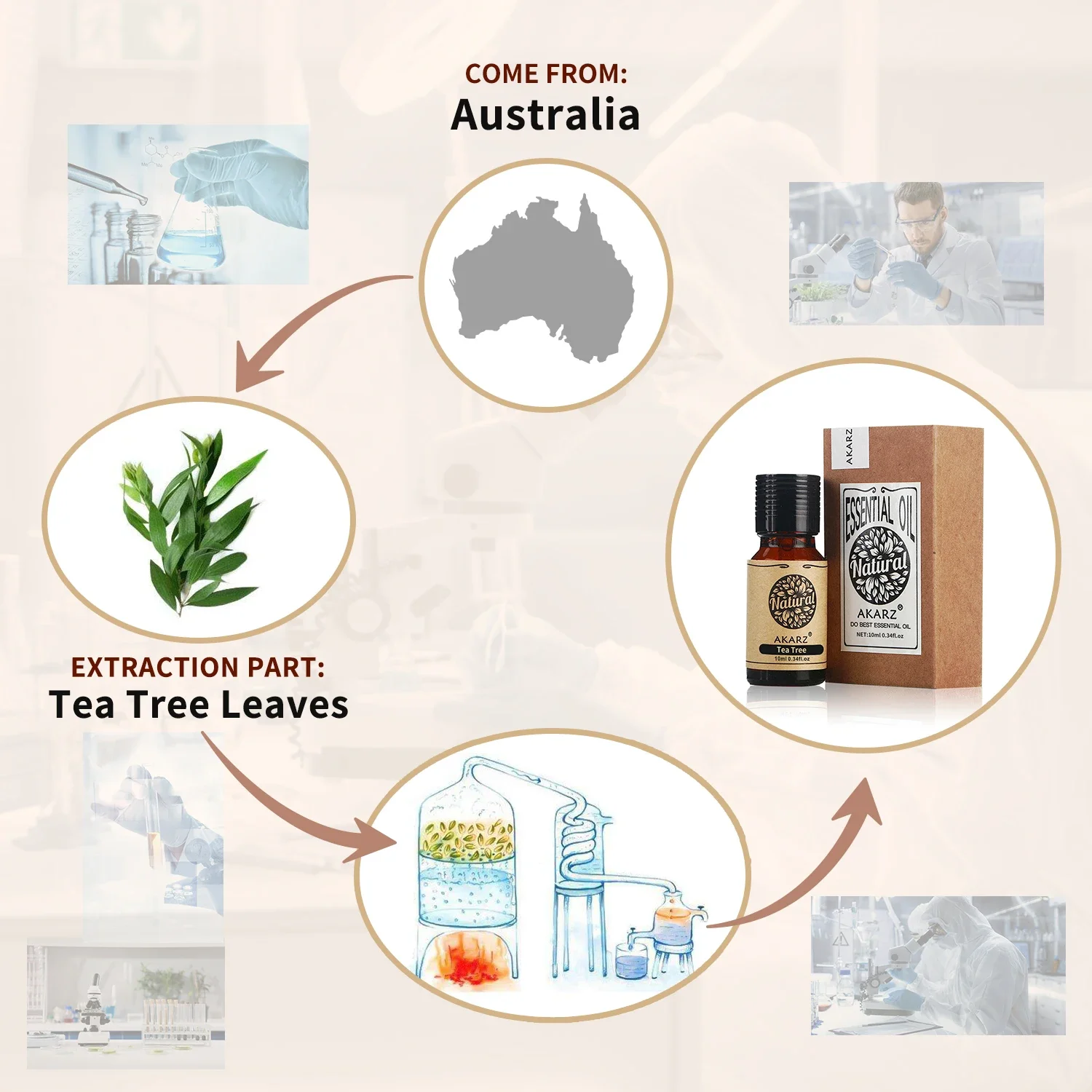 AKARZ aceite esencial de romer - Soap Making Fragrance reseña y precio